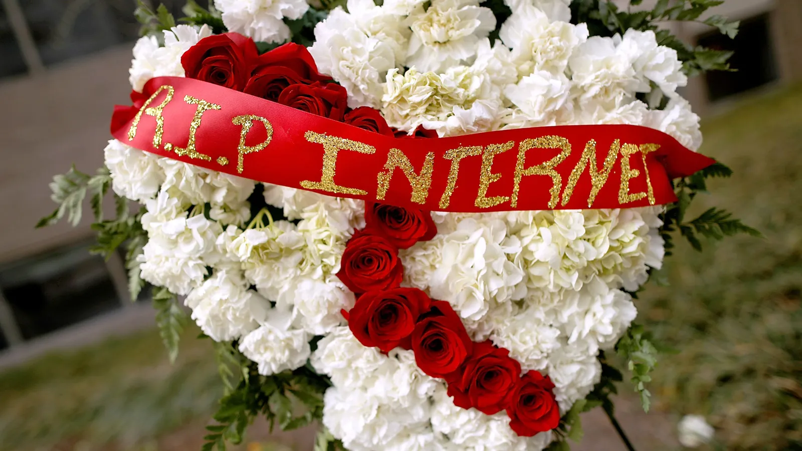 image_3JZD2O0NNW.webp