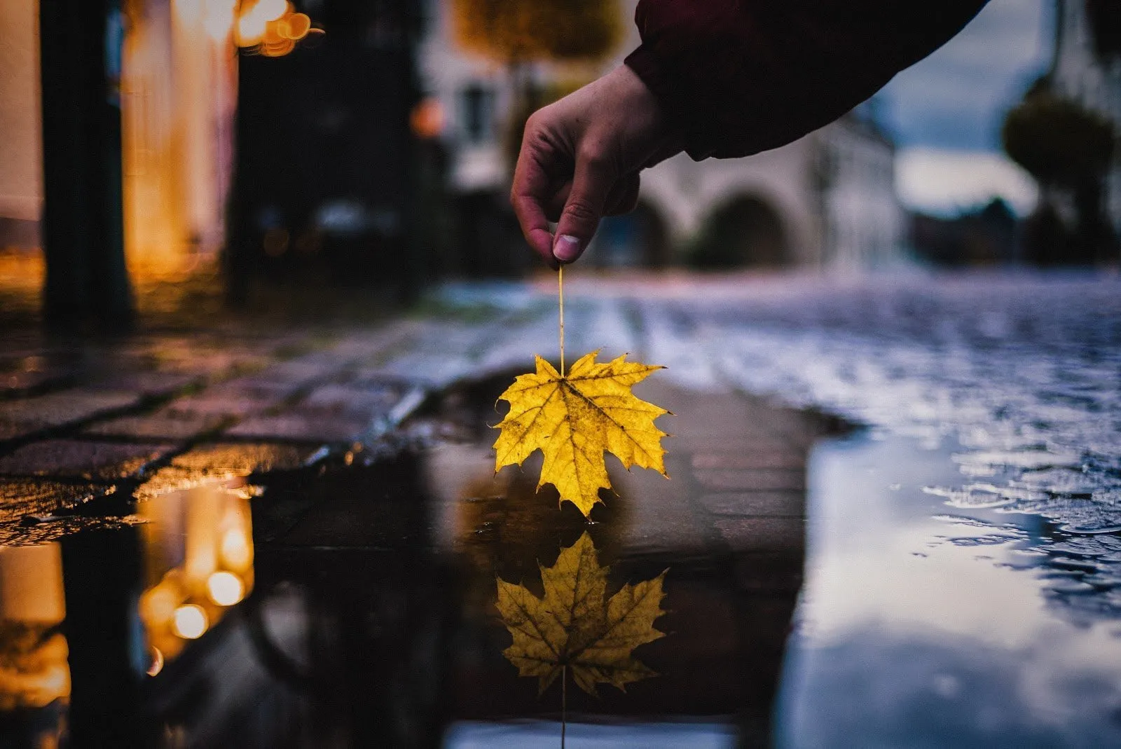 Rainy Day Photography Tips: Capture Stunning Shots