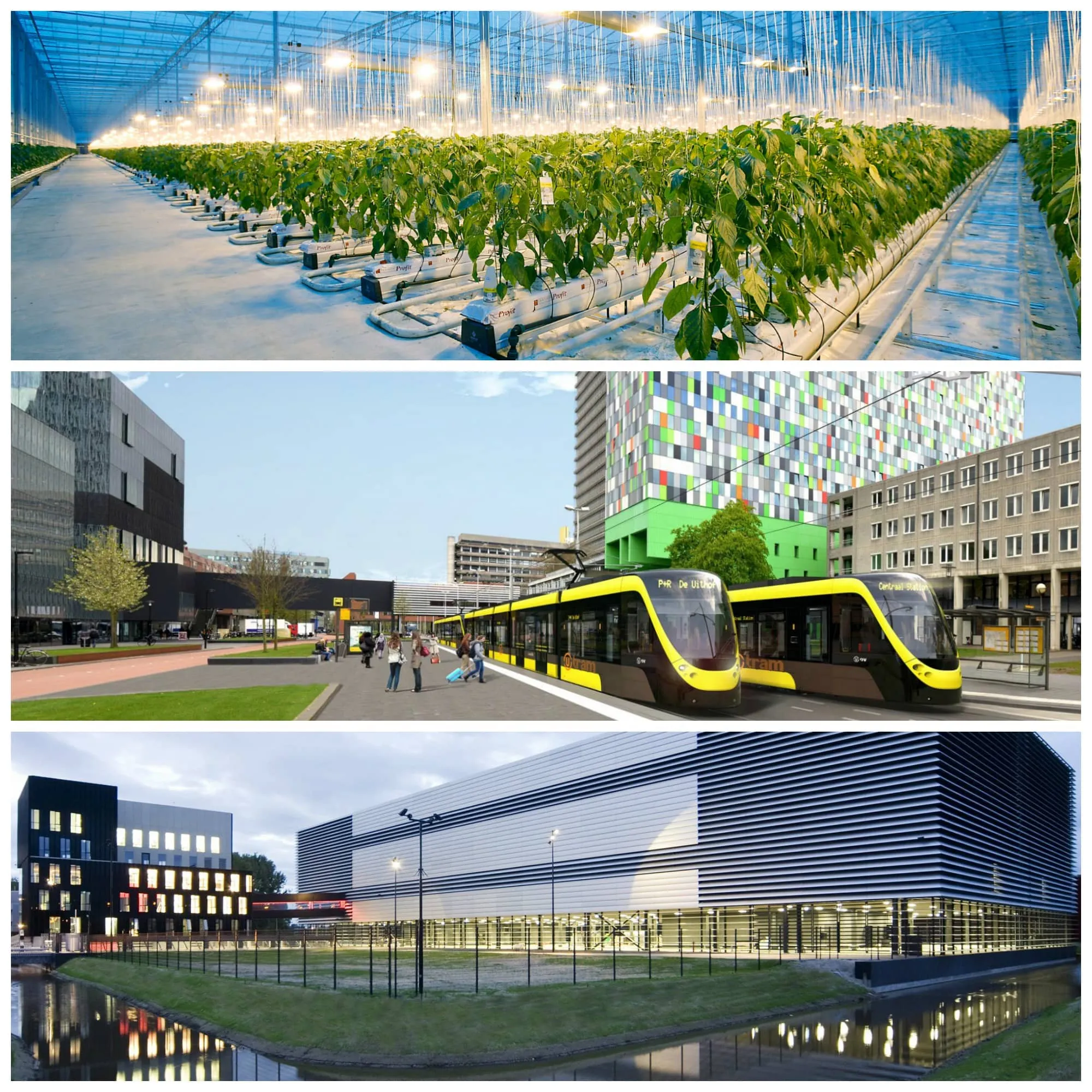 Netherlands Tech Innovation: A Powerhouse for AI Growth