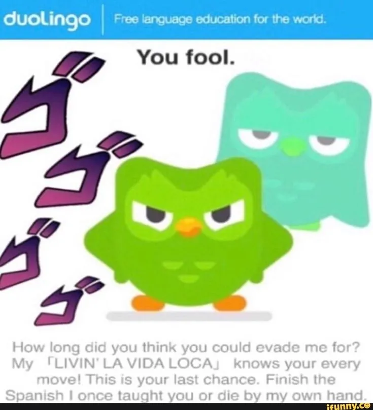 image_XCOFMSV56T.webp