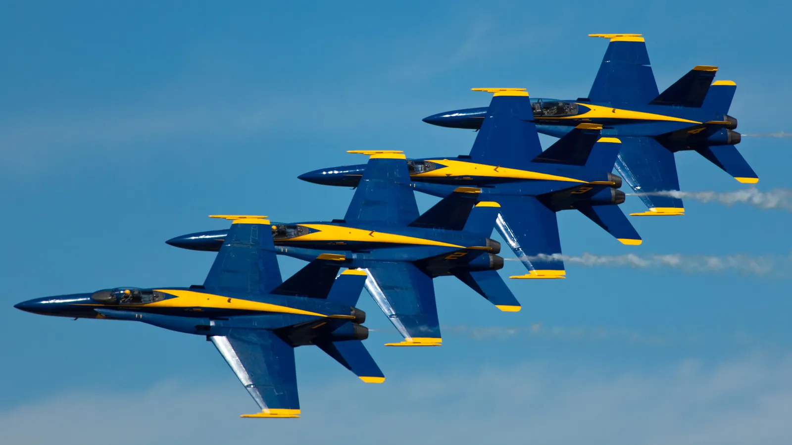 image_YM306BVIRP.webp